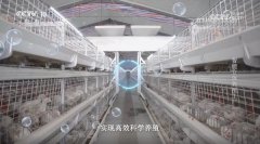 赖药物的惯等以致病死率高、、鸡肉药物残留平